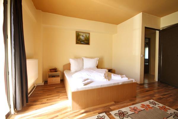 Pensiunea Edy Busteni Room photo
