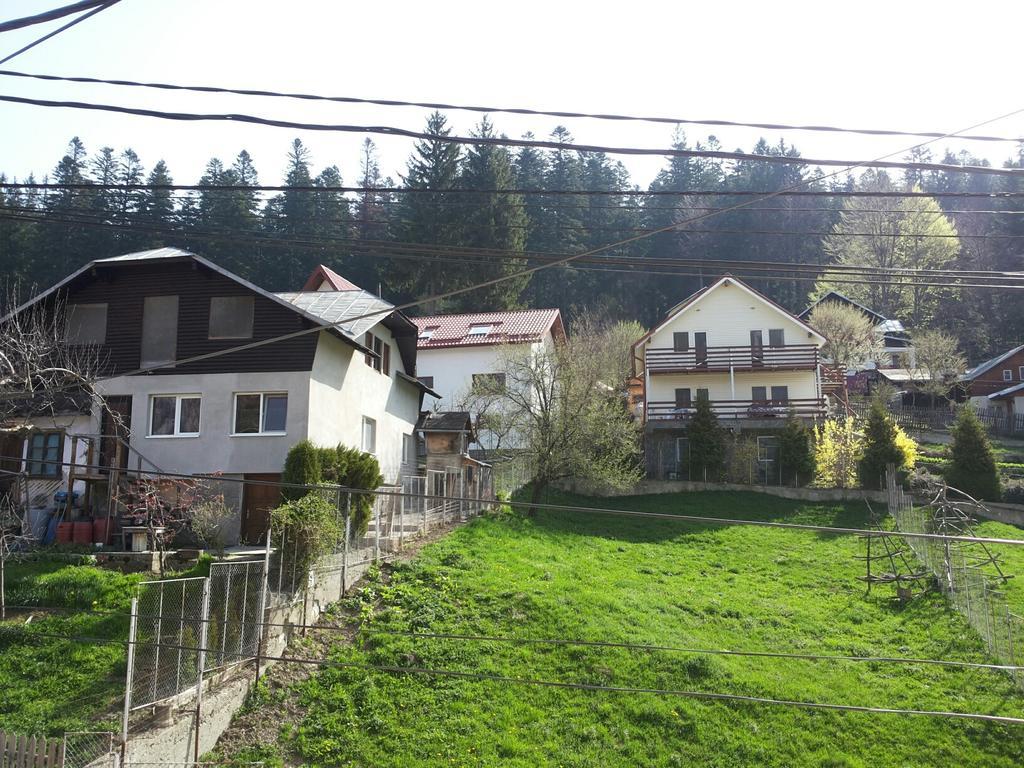 Pensiunea Edy Busteni Exterior photo